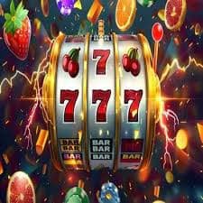 559bet