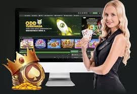 559bet